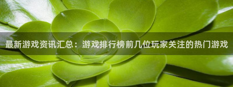 长征娱乐测速：最新游戏资讯汇总：游戏排行榜前几位玩家关注的热