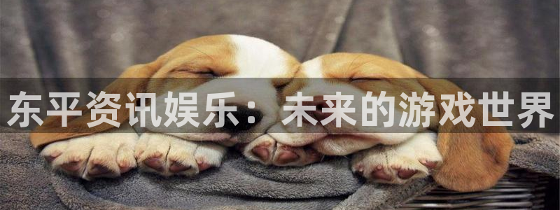 长征娱乐4主管：东平资讯娱乐：未来的游戏世界